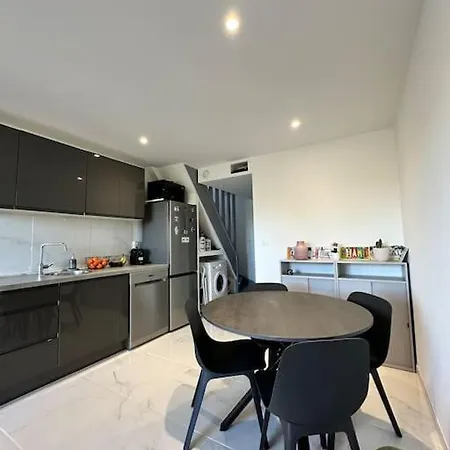 Apartment T2 Duplex Climatise Et Renove Avec Terrasses - Port *